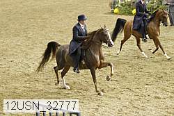 12usn_32777 thumbnail