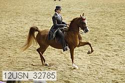 12usn_32785 thumbnail
