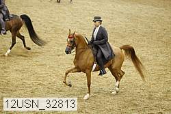 12usn_32813 thumbnail