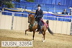 12usn_32854 thumbnail