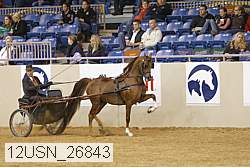 12usn_26843 thumbnail
