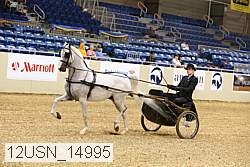 12usn_14995 thumbnail