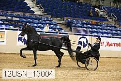 12usn_15004 thumbnail