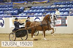 12usn_15020 thumbnail