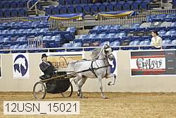 12usn_15021 thumbnail