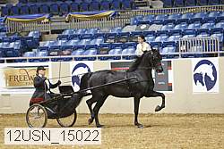 12usn_15022 thumbnail