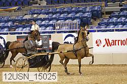 12usn_15025 thumbnail