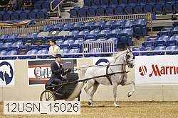 12usn_15026 thumbnail