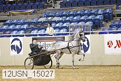 12usn_15027 thumbnail