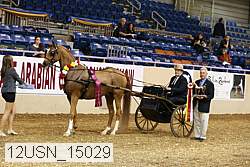 12usn_15029 thumbnail