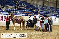 12usn_15035 thumbnail