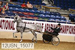 12usn_15077 thumbnail