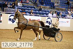 12usn_21776 thumbnail
