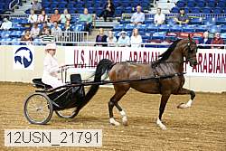 12usn_21791 thumbnail