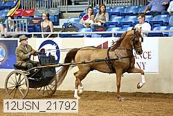 12usn_21792 thumbnail
