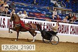 12usn_21901 thumbnail