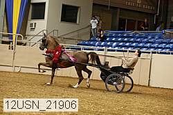 12usn_21906 thumbnail