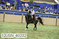 12usn_40232 thumbnail