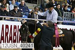 12usn_40241 thumbnail