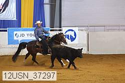 12usn_37297 thumbnail