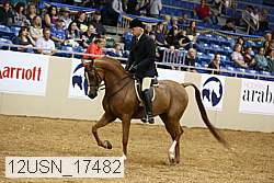 12usn_17482 thumbnail