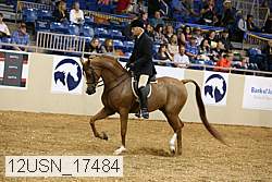 12usn_17484 thumbnail