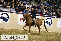 12usn_34804 thumbnail