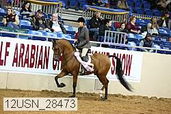 12usn_28473 thumbnail