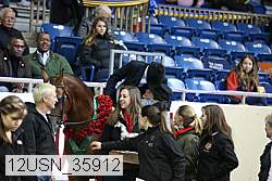 12usn_35912 thumbnail