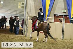 12usn_35956 thumbnail