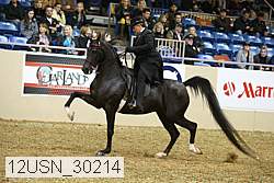 12usn_30214 thumbnail