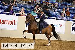 12usn_13181 thumbnail