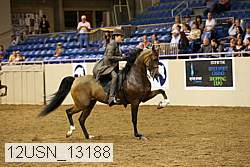 12usn_13188 thumbnail