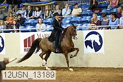 12usn_13189 thumbnail