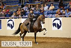 12usn_13201 thumbnail