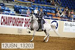 12usn_13203 thumbnail