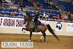 12usn_13209 thumbnail