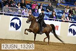 12usn_13293 thumbnail
