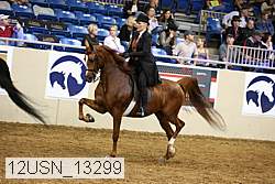 12usn_13299 thumbnail
