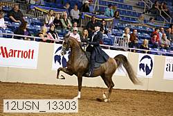 12usn_13303 thumbnail
