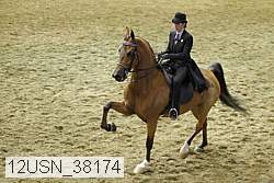 12usn_38174 thumbnail