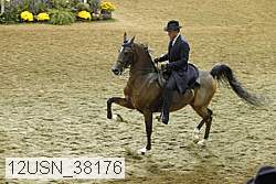 12usn_38176 thumbnail