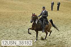 12usn_38182 thumbnail