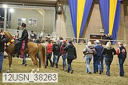 12usn_38263 thumbnail