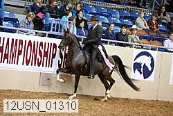 12usn_01310 thumbnail