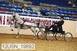 12usn_19892 thumbnail