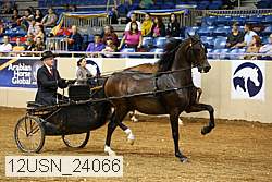 12usn_24066 thumbnail