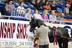 12usn_24109 thumbnail