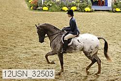 12usn_32503 thumbnail