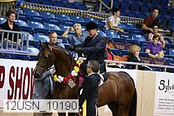 12usn_10190 thumbnail